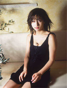 《案中案2003国语》